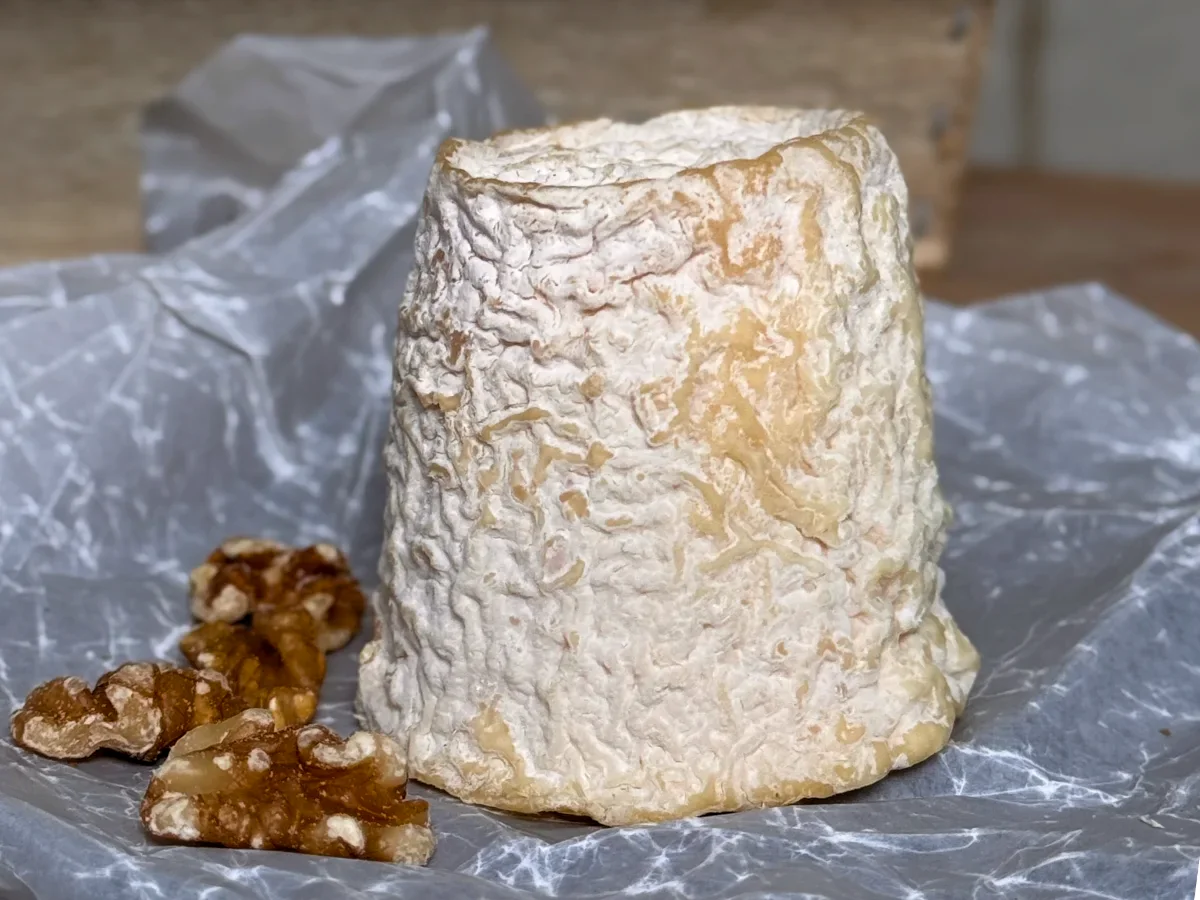 Chabichou AOP Ziegenweichkäse aus Frankreich mit natürlicher Rinde